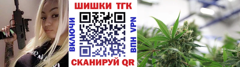 Где купить Моздок Бошки Шишки  COCAIN  ГАШИШ 