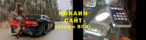 гидра Абаза