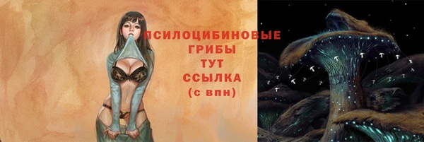 мяу мяу мука Алексеевка